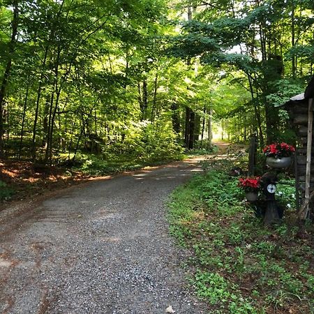 Country Living Bed and Breakfast Gravenhurst Eksteriør billede