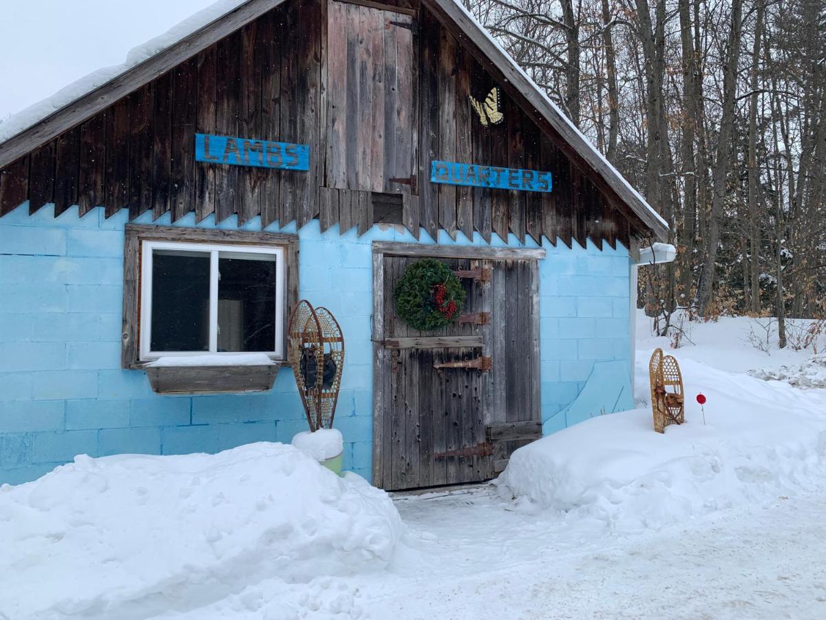 Country Living Bed and Breakfast Gravenhurst Eksteriør billede